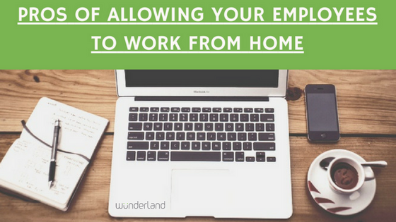 PROS OF WORKING FROM HOME | WunderLand Group